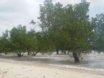 Pemandangan-Pantai-Tapak-Antu-atau-Telapak-Hantu-di-Bangka-Belitung.jpg