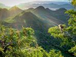 Pemandangan-satwa-keramonyet-dengan-puncak-Bukit-Cumbri-Wonogiri-Jawa-Tengah.jpg