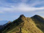 Pemandangan-selama-pendakian-ke-Gunung-Merbabu-via-Wekas-2.jpg