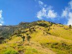 Pemandangan-terbuka-di-jalur-Bowongso-Gunung-Sumbing.jpg