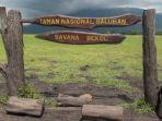 Pemandangan-wisata-Taman-Nasional-Baluran-di-Situbondo-Jawa-Timur.jpg