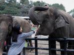 Pengunjung-Lembang-Park-Zoo.jpg