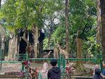 Pengunjung-Taman-Margasatwa-Ragunan-Jakarta.jpg