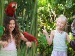 Pengunjung-anak-anak-berinteraksi-foto-bersama-burung-di-Bali-Bird-Park-Gianyar-Bali.jpg