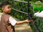 Pengunjung-berinteraksi-langsung-dengan-satwa-burung-di-Kebun-Binatang-Bandung.jpg