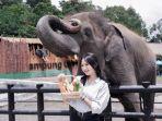Pengunjung-berwisata-di-Lembang-Park-Zoo-Kecamatan-Lembang-Kabupaten-Bandung-Barat.jpg