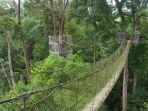 Pesona-Bukit-Bangkirai-tempat-wisata-di-Balikpapan-Kalimantan-Timur.jpg