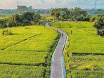 Pesona-Ekowisata-Subak-Sembung-di-Desa-Peguyangan-Denpasar-Utara-Denpasar-Bali.jpg