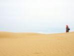 Pesona-Pantai-Oetune.jpg