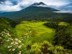 Pesona-Savana-Propok-tempat-wisata-populer-di-Lombok-Nusa-Tenggara-Barat-NTB.jpg