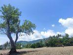 Pesona-Wisata-Angin-Pantai-tempat-wisata-di-Kabupaten-Kotabaru-Kalimantan-Selatan.jpg