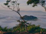 Pesona-negeri-di-atas-awan-Bukit-Gatan-Musi-Rawas-Sumatera-Selatan-yang-menakjubkan1.jpg