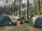 Pinea-Forest-Mangli-1.jpg