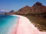 Pink-Beach-satu-tempat-wisata-hits-di-Labuan-Bajo-Flores-Nusa-Tenggara-Timur.jpg