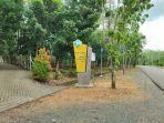 Potret-Taman-Hutan-Hujan-Tropis-Indonesia.jpg