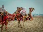 Pushkar-Camel-Fair-satu-festival-terbaik-di-India-yang-ta.jpg