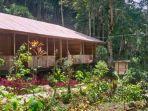 Rainforest-Lodges-Kedah.jpg