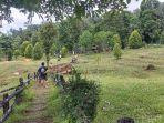 Rumah-Pohon-Waai.jpg