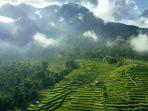 Sawah-terasering-di-Desa-Wisata-Golo-Loni-di-Manggarai-Timur-Nusa-Tenggara-Timur.jpg