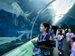Sea-Aquarium-menawarkan-kesempatan-unik-untuk-menyaksikan-keanekaragaman-kehidupan-laut.jpg