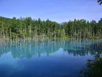 Shirogane-Blue-Pond-satu-tempat-wisata-terbaik-di-Hokkaido-Jepang-buat-dikunjungi-saat-Musim-Panas.jpg