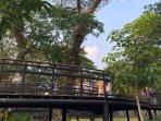 Skywalk-Taman-Balekambang-Solo.jpg