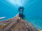 Snorkeling-in-Bali.jpg