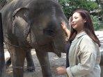 Solo-Safari-kebun-binatang-5.jpg