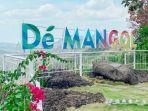 Spot-foto-di-De-Mangol-View-Gunungkidul-Jogja-1.jpg