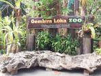 Spot-foto-instagramable-di-Gembira-Loka-Zoo-Kecamatan-Kotagede-Jogja-Yogyakarta.jpg