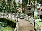 Suasana-Tanaria-Park-Pasuruan-Jawa-Timur-yang-menyejukkan-cocok-buat-healing-akhir-pekan.jpg