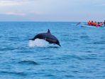 Suasana-menawan-melihat-lumba-lumba-di-Pantai-Lovina-Bali-Dolphin-Sunrise-Lovina1.jpg