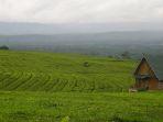 Suasana-perbukitan-di-Pagar-Alam-Sumatera-Selatan-dengan-pemandangan-Gunung-Dempo.jpg