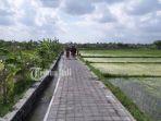 Subak-Sembung-Desa-Peguyangan-Kecamatan-Denpasar-Utara-Kota-Denpasar-Bali.jpg