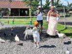 Sui-Farm-satu-tempat-wisata-baru-di-Malang-Jawa-Timur-buat-liburan-keluarga.jpg