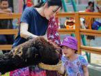 Suraloka-Interactive-Zoo-HTM.jpg