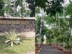 Taman-Hutan-Hujan-Tropis.jpg