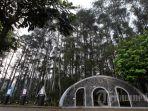 Taman-Hutan-Raya-Ir-H-Djuanda-Tahura-Djuanda-Dago-Pakar-Ciburial-Bandung.jpg