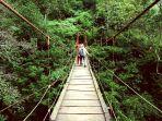 Taman-Hutan-Raya-Ir-H-Djuanda-satu-tempat-wisata-di-Bandung-Jawa-Barat.jpg
