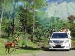 Taman-Safari-Prigen-44.jpg