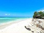 Tempat-wisata-Pantai-Mutiara.jpg