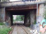 Terowongan-Kereta-Peledang-Bogor.jpg
