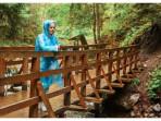 Tips-Liburan-yang-Nyaman-saat-Musim-Hujan.jpg