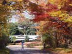 Tokyo-Imperial-Palace-satu-taman-terbaik-di-Tokyo-Jepang-1.jpg