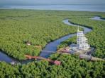 Tower-Mangrove-Forest-Park-Langsa-yang-didirikan-di-hutan-mangrove-Kota-Langsa-Aceh.jpg