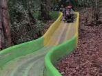 Wahana-Tamiya-Coaster-atau-naik-mobil-tamiya-di-Lawu-Green-Forest-1.jpg