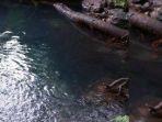 Wisata-Alam-Kokok-Gumbang.jpg