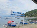 Wisata-Hiu-Paus-Gorontalo-menjadi-favorit-para-pencinta-snorkeling-dan-diving.jpg