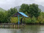 Wisata-Mangrove-Mageloo-di-Sikka-NTT-yang-instagramable.jpg