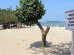 Wisata-Pantai-Teluk-Awur.jpg